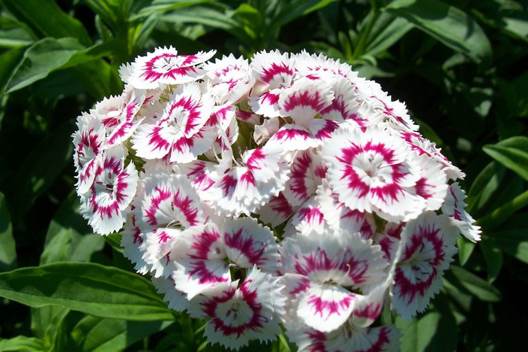 Curabitur id ultrices