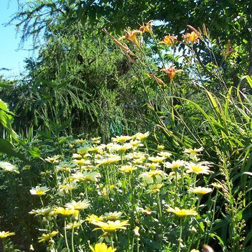 Lorem ipsum dolor sit amet