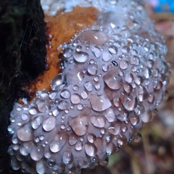 Lorem ipsum dolor sit amet